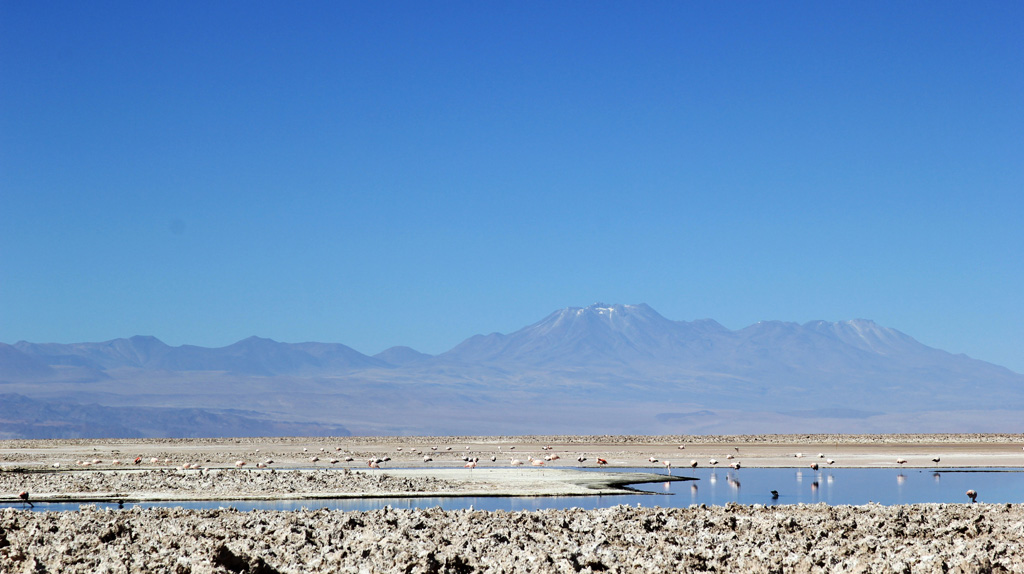 Лагуна Чакса пустыня Атакама Чили отзыв о поездке в блоге о путешествиях по Чили ChileTravelMAg-15
