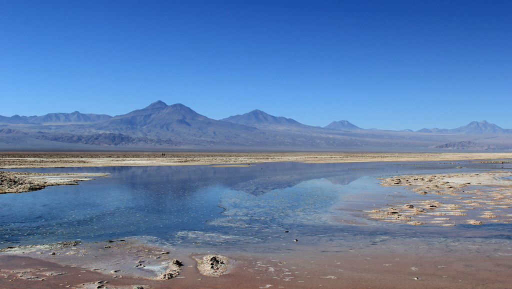 Лагуна Чакса пустыня Атакама Чили отзыв о поездке в блоге о путешествиях по Чили ChileTravelMAg-7
