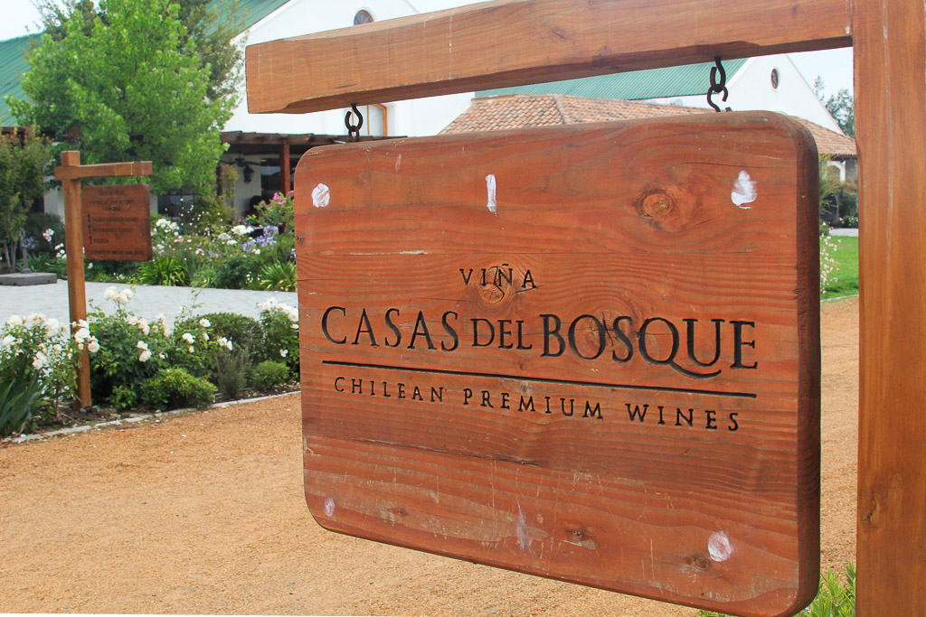 Винодельня Чили Viña Casas del Bosque долина Касабланка, отзыв о поездке-10