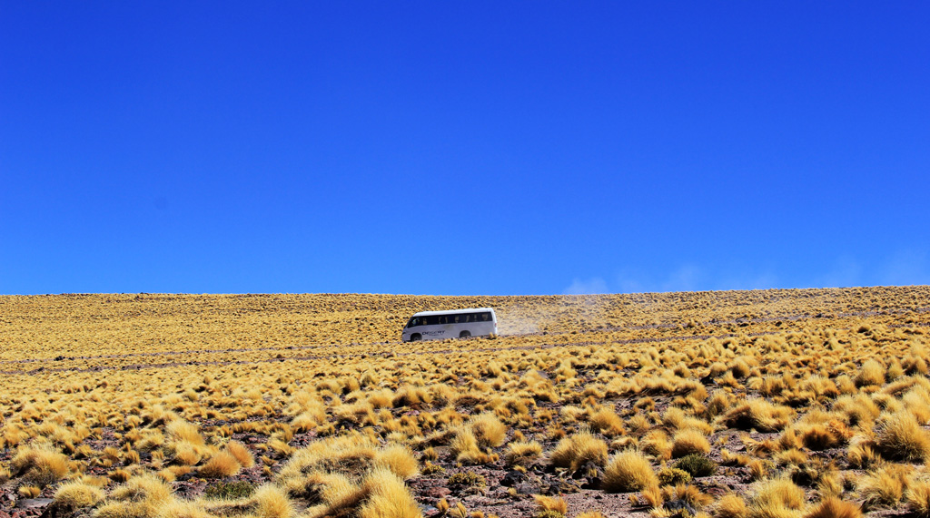 Лагуна Мисканти Атакама, Чили, отзыв в блоге о путешествиях по Чили ChileTravelMag-12