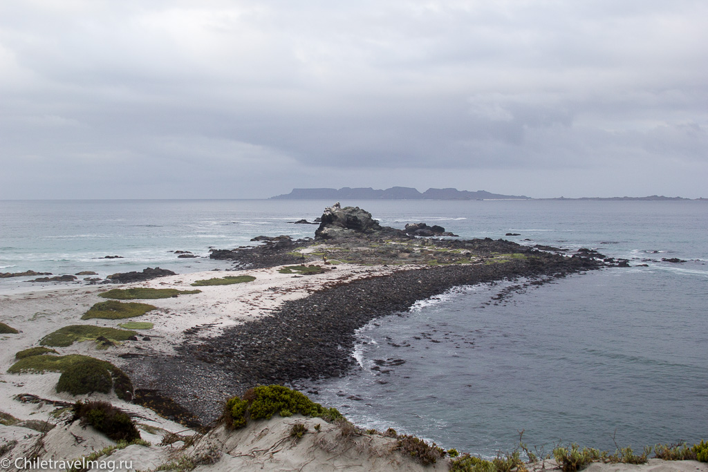 Punta de Choros, Chile, поездка в Пунта-де-Чорос в Чили, отзыв-7