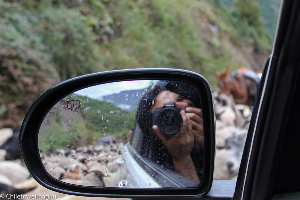 Поездка на машине по югу Чили, Romeral, Los Queñes-10