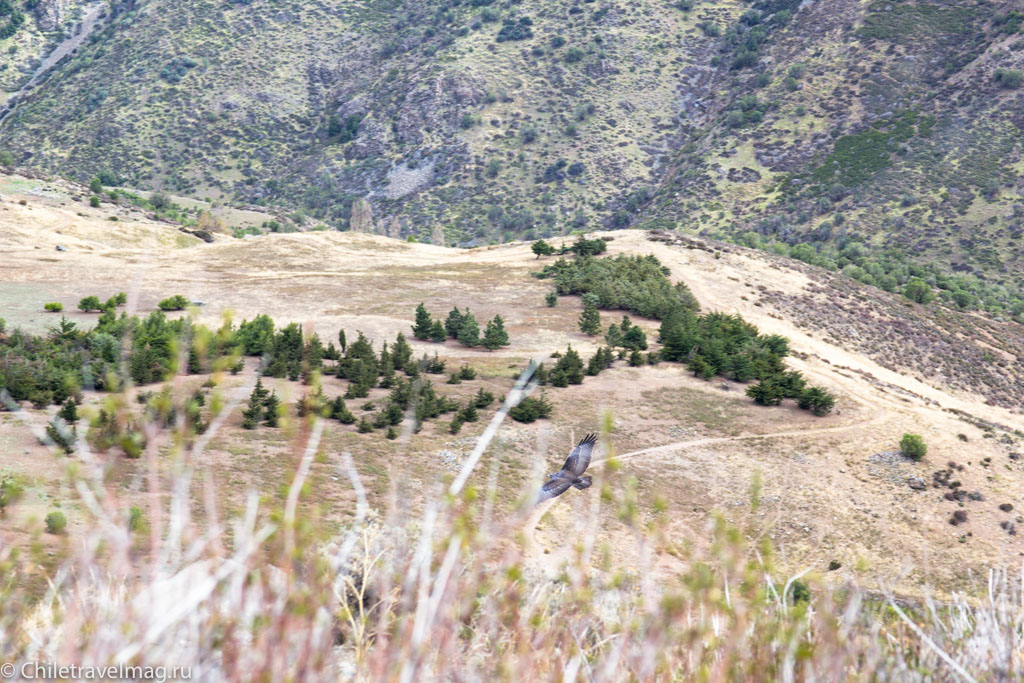 треккинг в горах в Чили