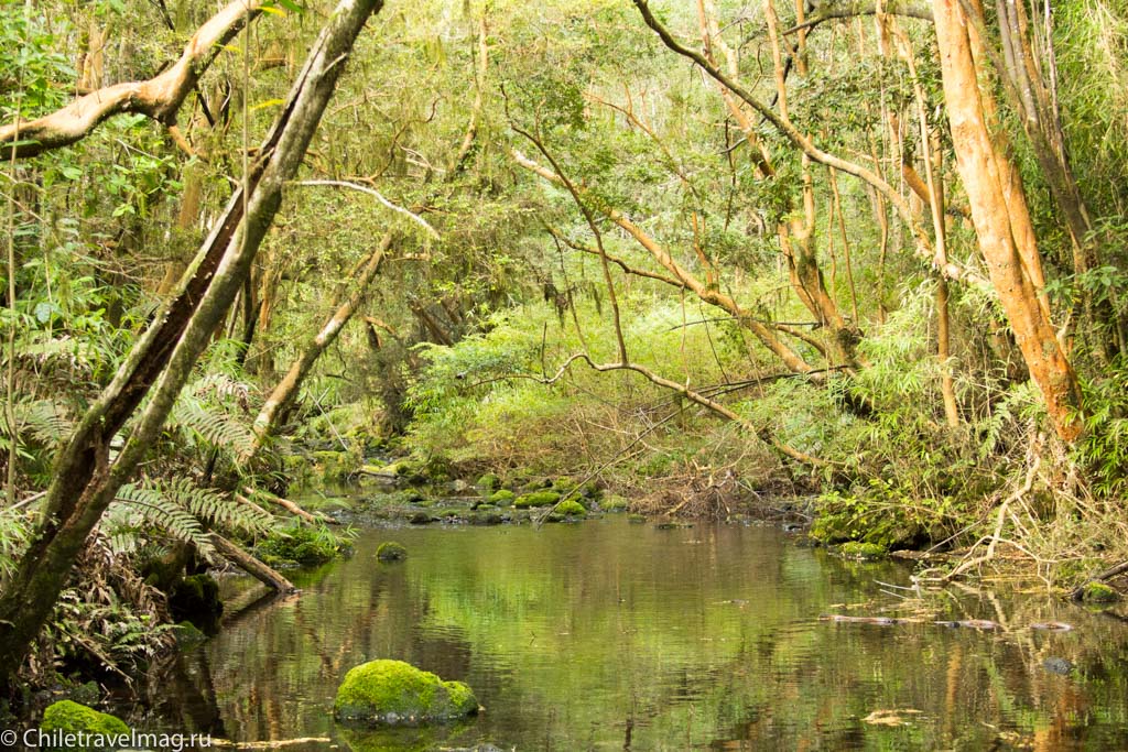 arturo-perez-rozales-park-saltos-petrohue-puerto-varas-chiletravelmag-blog-38