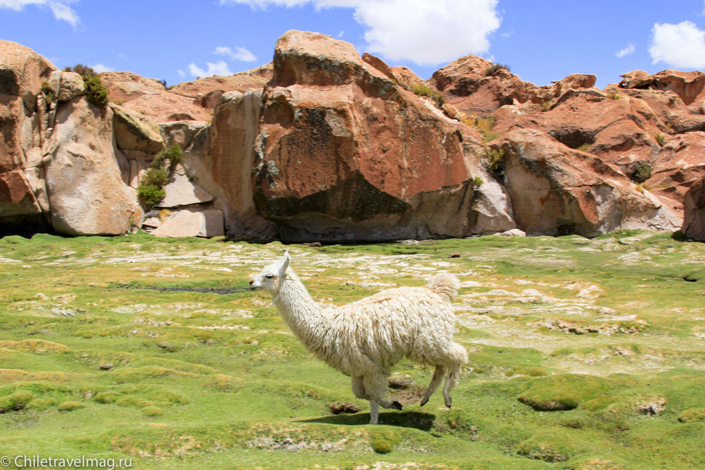 Valle de las Rocas поездка в Боливию отчет в блоге Chiletravelmag.ru -15