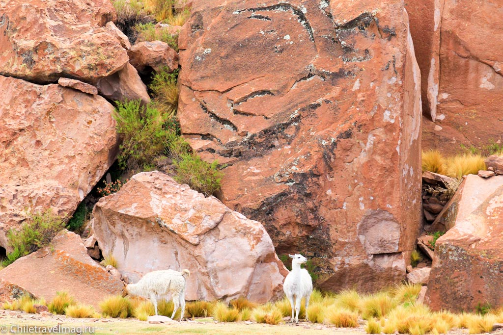 Valle de las Rocas поездка в Боливию отчет в блоге Chiletravelmag.ru -17