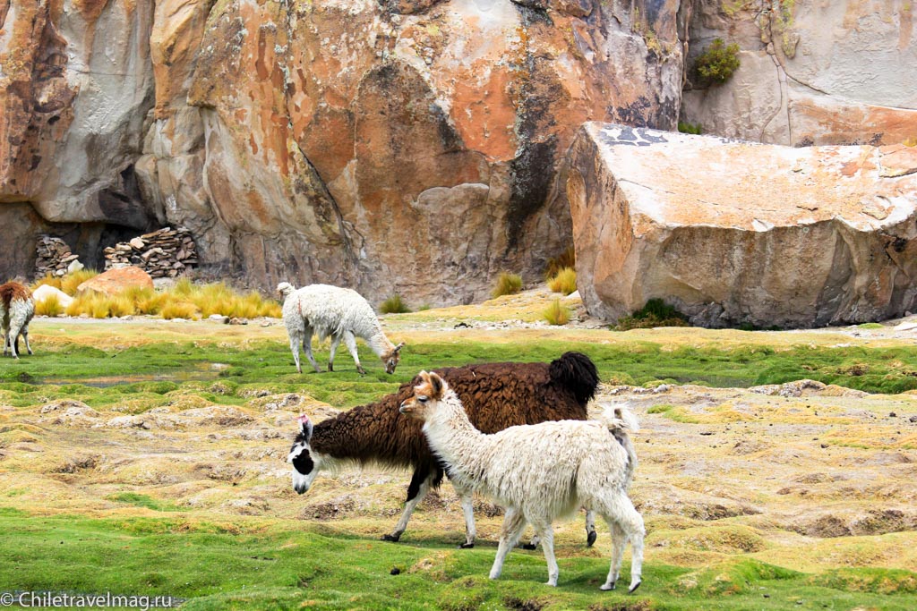 Valle de las Rocas поездка в Боливию отчет в блоге Chiletravelmag.ru -21