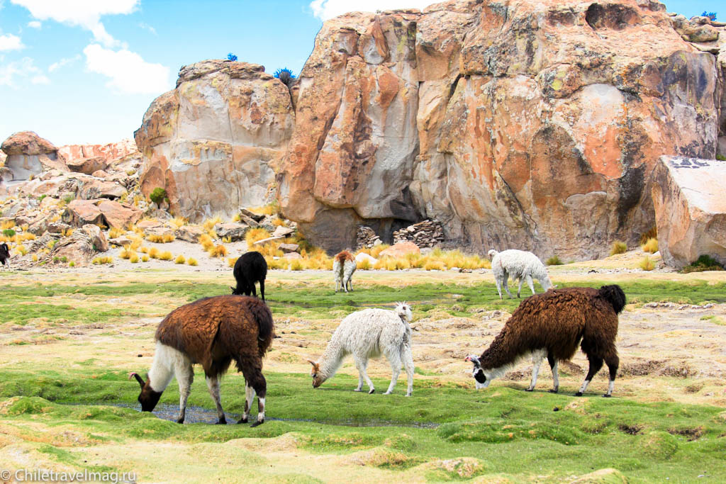 Valle de las Rocas поездка в Боливию отчет в блоге Chiletravelmag.ru -22
