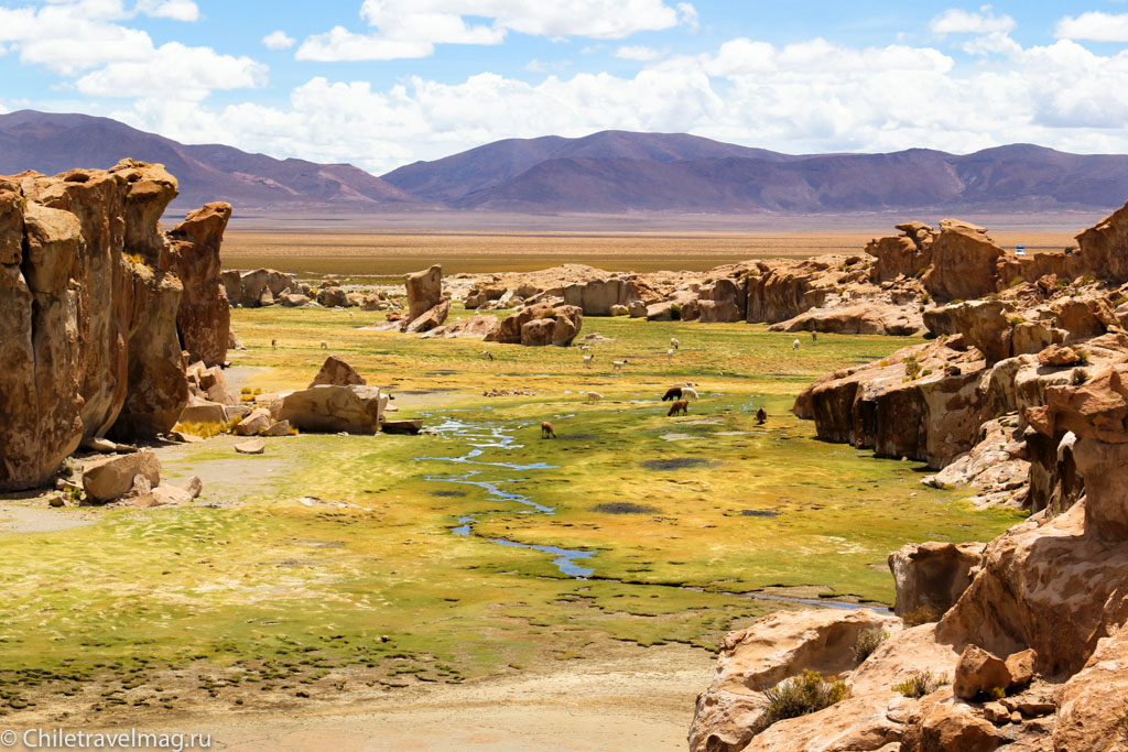 Valle de las Rocas поездка в Боливию отчет в блоге Chiletravelmag.ru -27