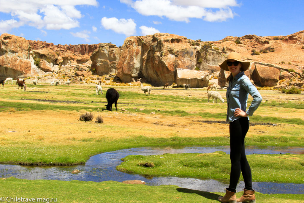 Valle de las Rocas поездка в Боливию отчет в блоге Chiletravelmag.ru -4
