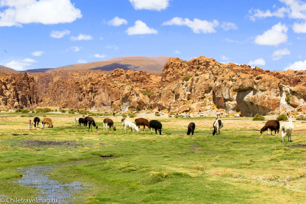 Valle de las Rocas поездка в Боливию отчет в блоге Chiletravelmag.ru -5
