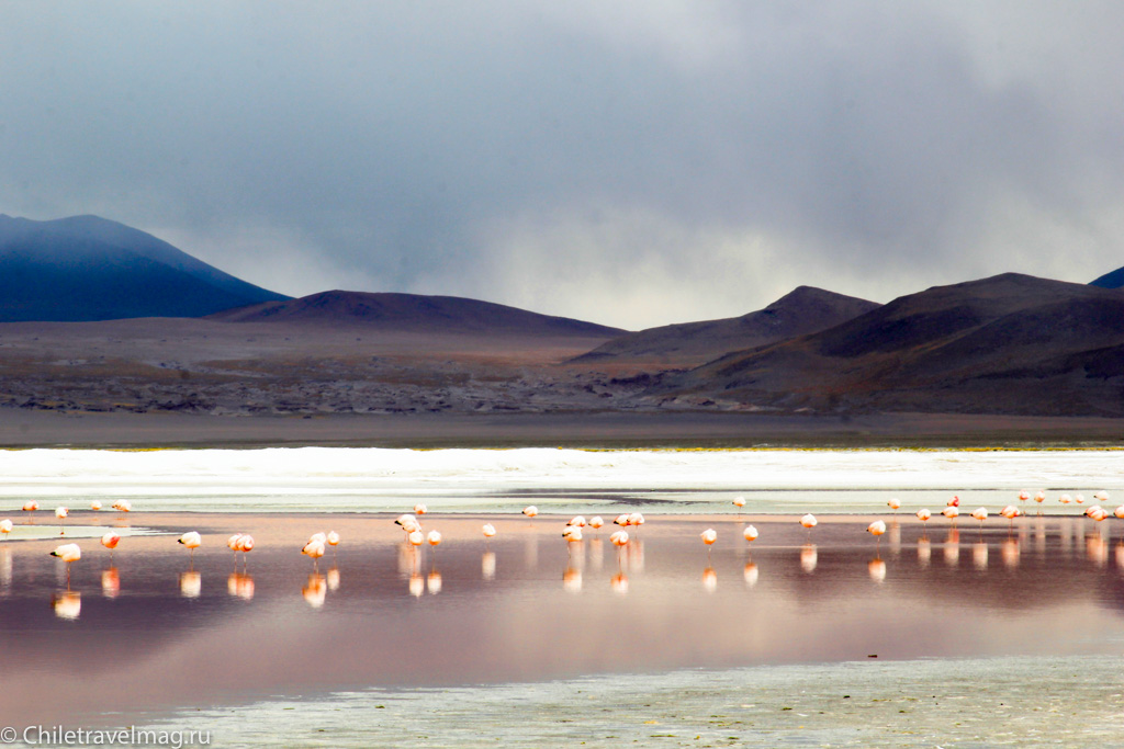 Поездка в Боливию Лагуна Колорада отзыв в блоге-19