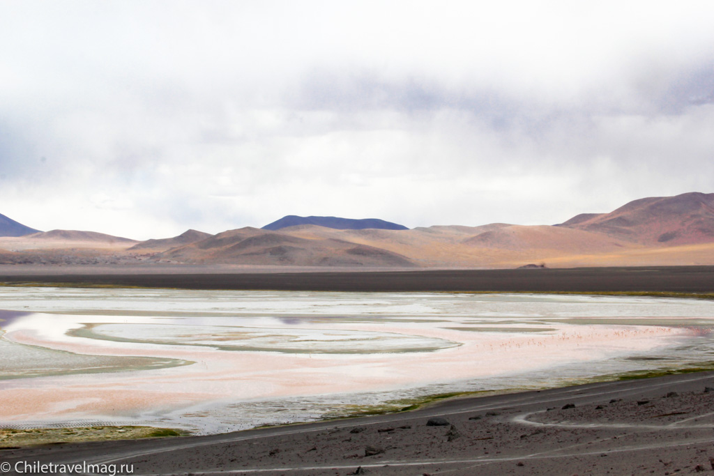 Поездка в Боливию Лагуна Колорада отзыв в блоге-26