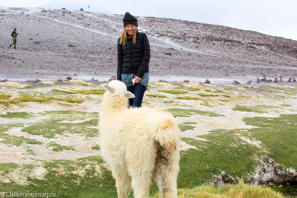 Поездка в Боливию Лагуна Колорада отзыв в блоге-4