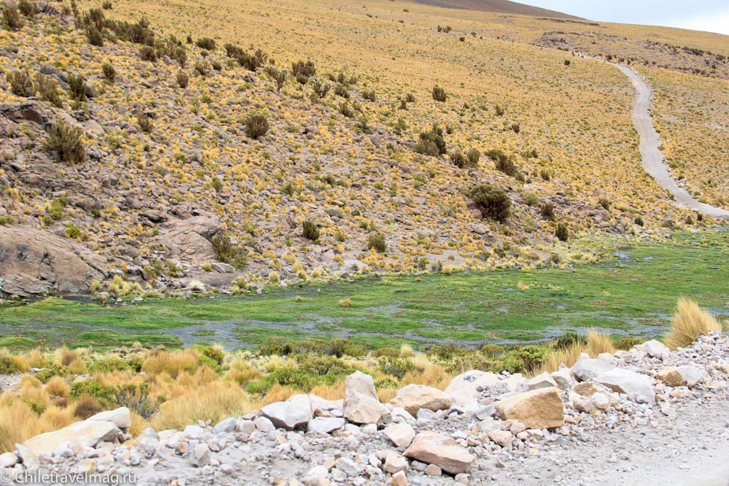 Поездка в Боливию, Тур в Боливию, отзыв в блоге, долина Лас Рокас в Боливии-2