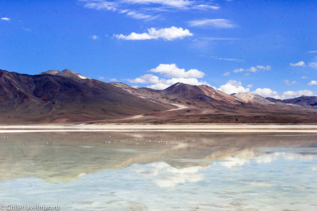 Тур в Боливию-лагуны-альтиплано-Боливия-отчет-в-блоге-Chiletravelmag-9