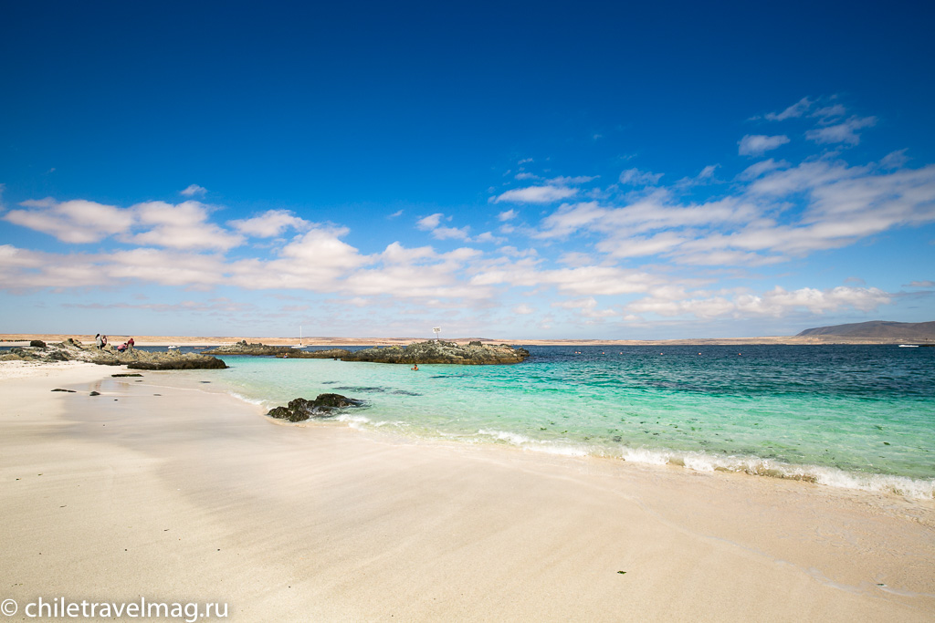 Баия Инглеса пляж в Чили15