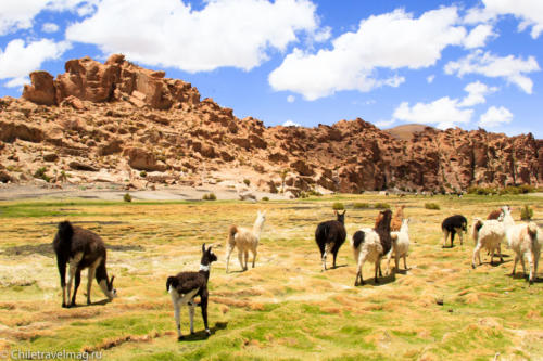 Valle de las Rocas поездка в Боливию отчет в блоге Chiletravelmag.ru -24