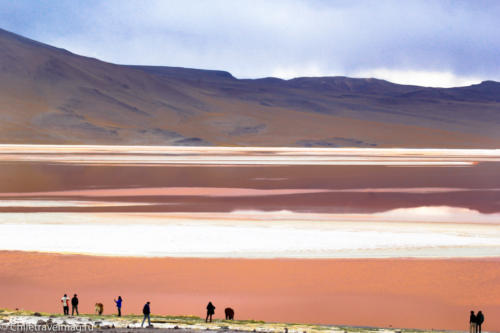 Лагуна Колорада в Боливии Laguna Colorada in Bolivia